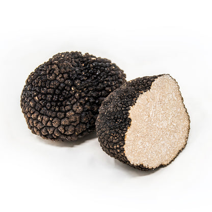 Summer Truffle (Tuber Aestivum)